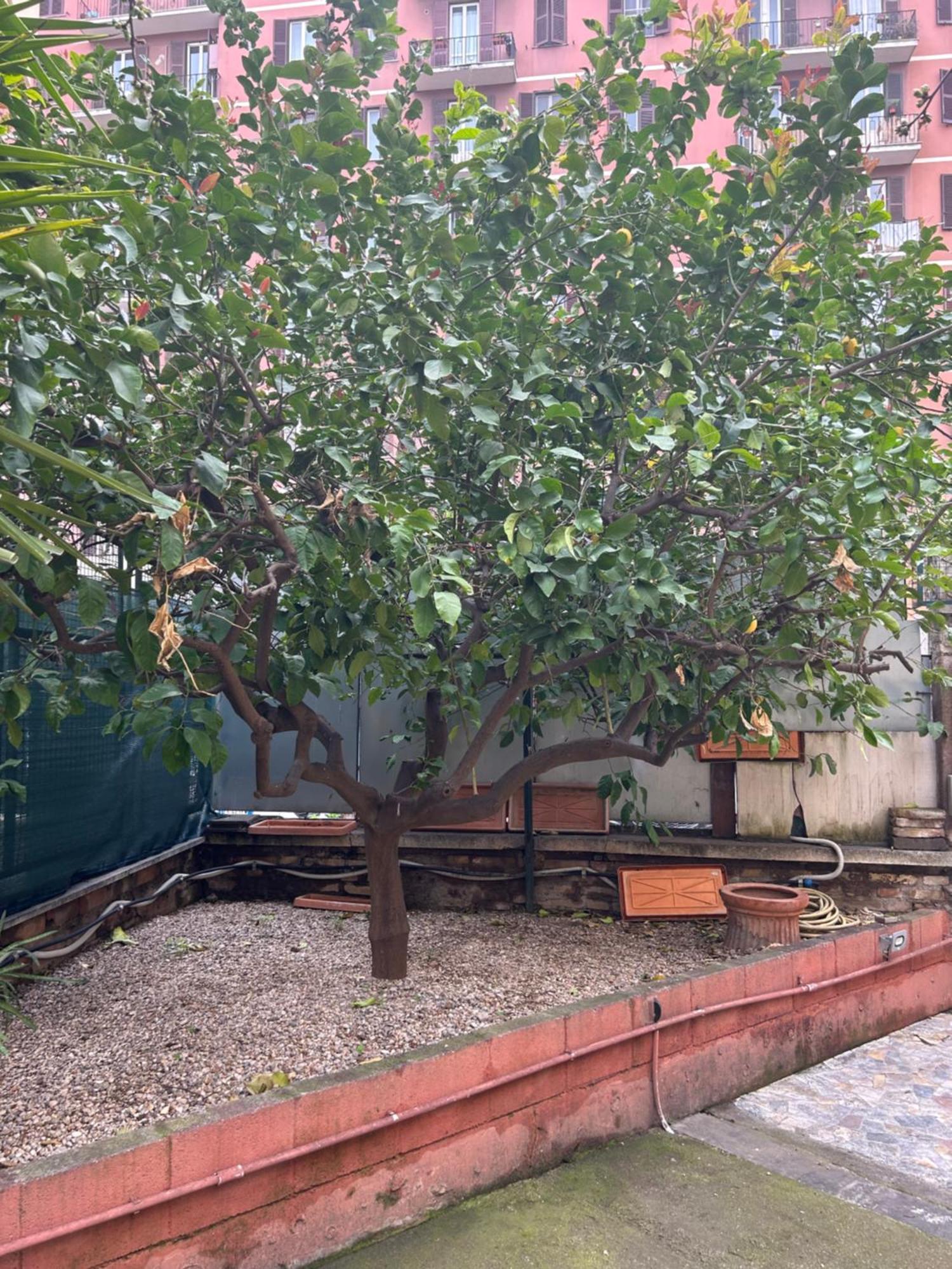 Morgana Vakantiehuis Rome